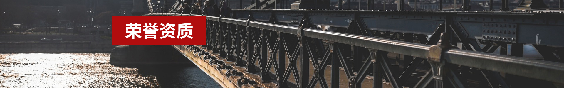 百行先锋会员_荣誉资质_关于我们_荣誉资质_东莞市领智电子有限公司