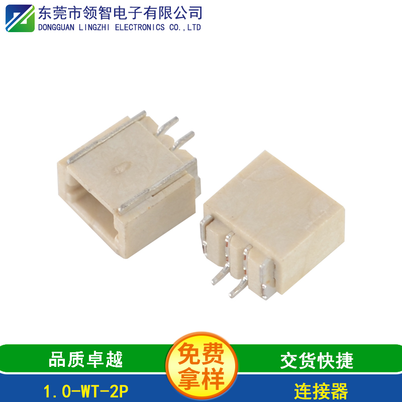 1.0-WT-2P