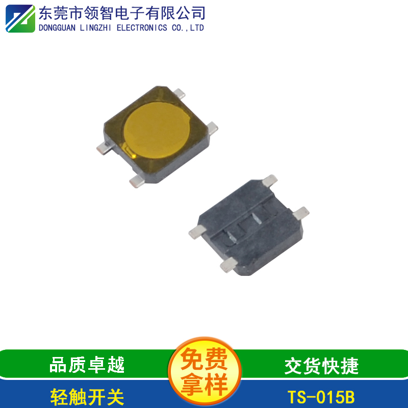 TS-015B