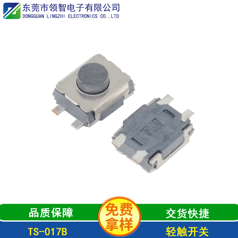 TS-017B