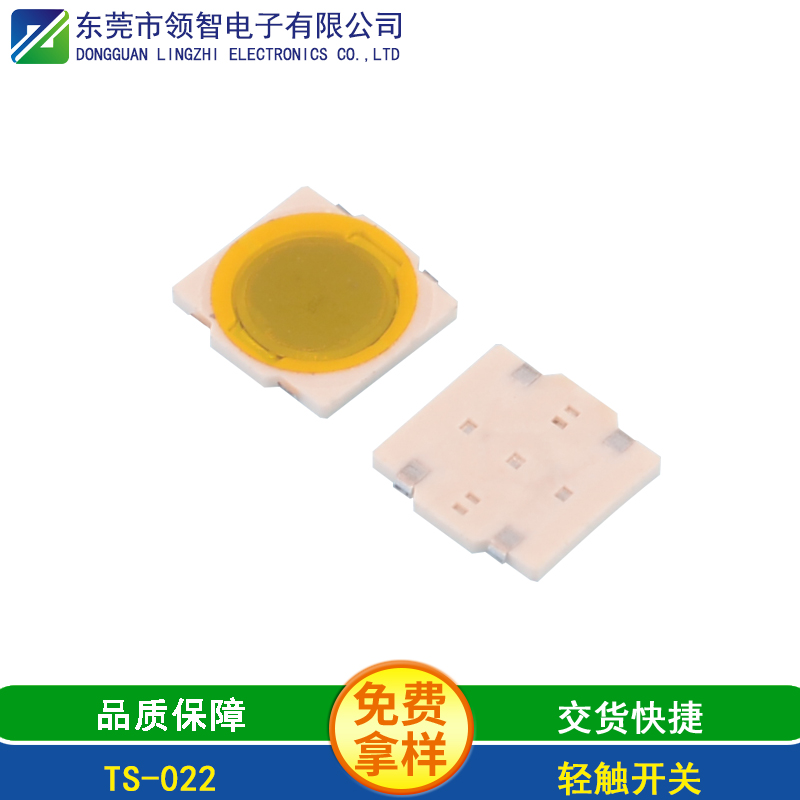 TS-022