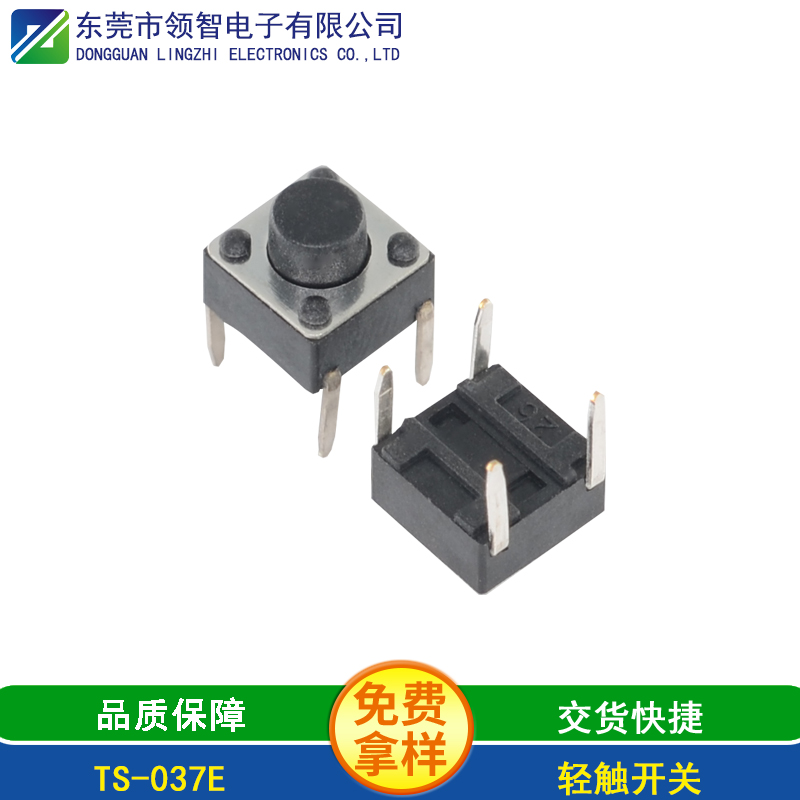 TS-037E