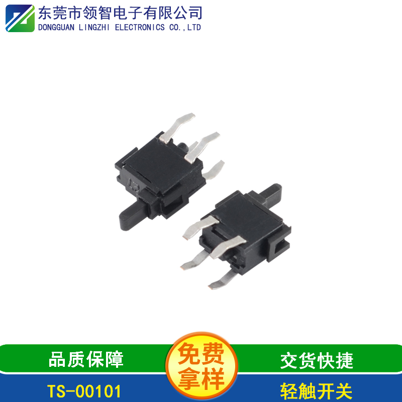 TS-00101