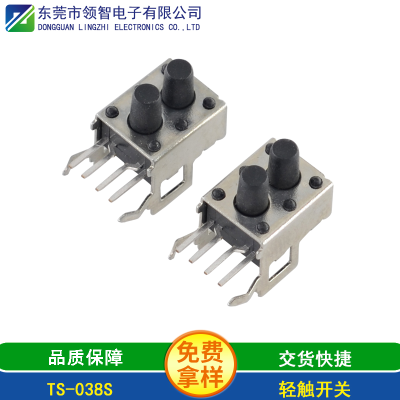 TS-038S