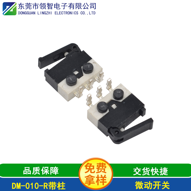 DM-010-R带柱