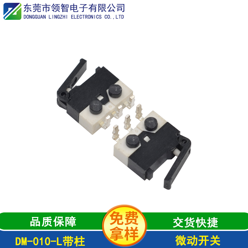 DM-010-L带柱