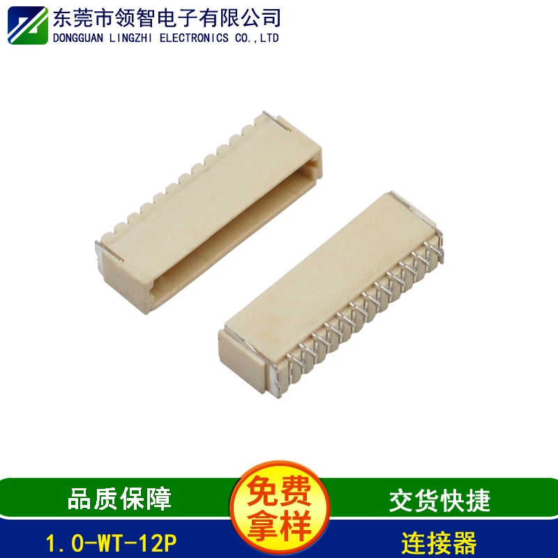 1.0-WT-12P