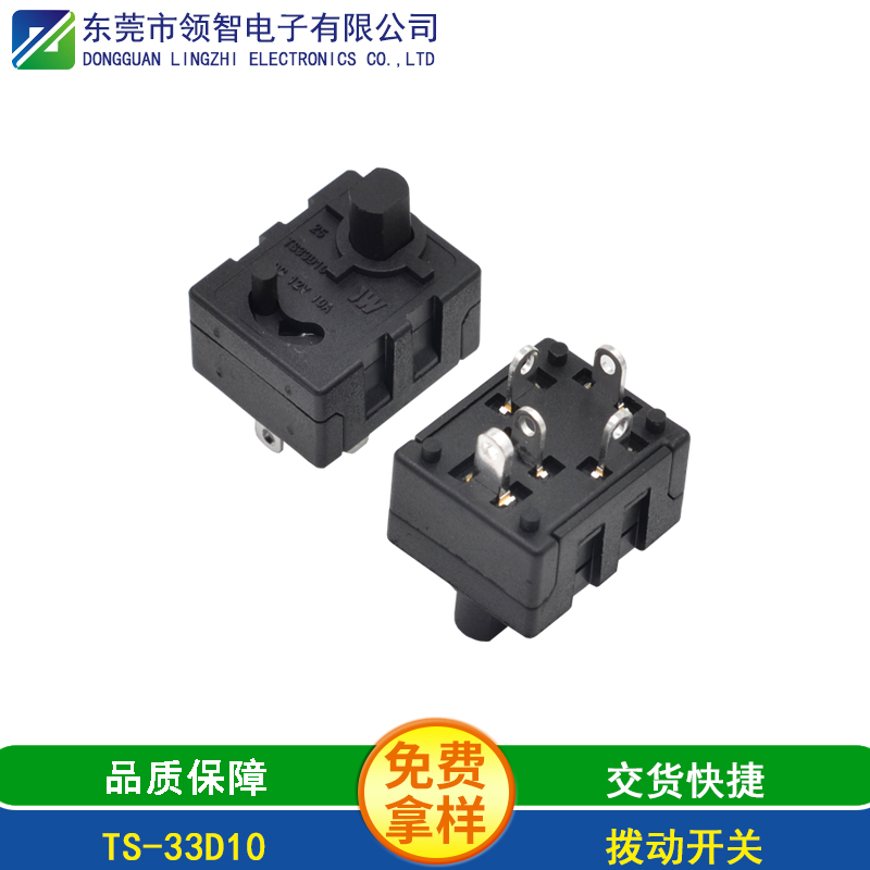 TS-33D10