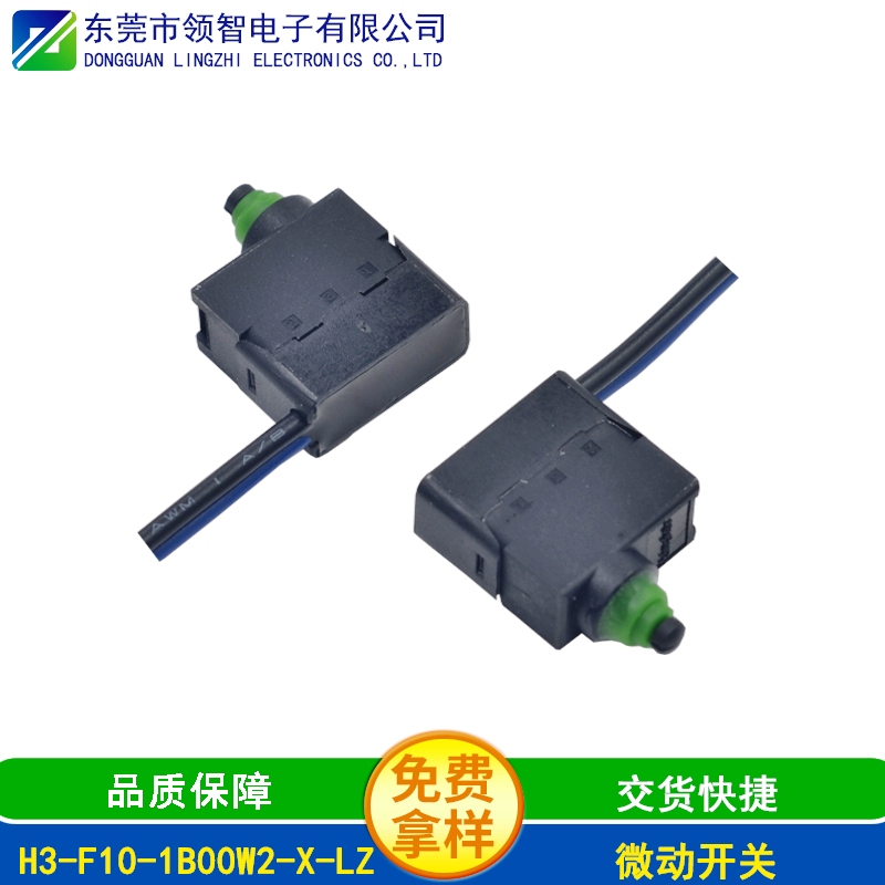 H3-F10-1B00W2-X-LZ