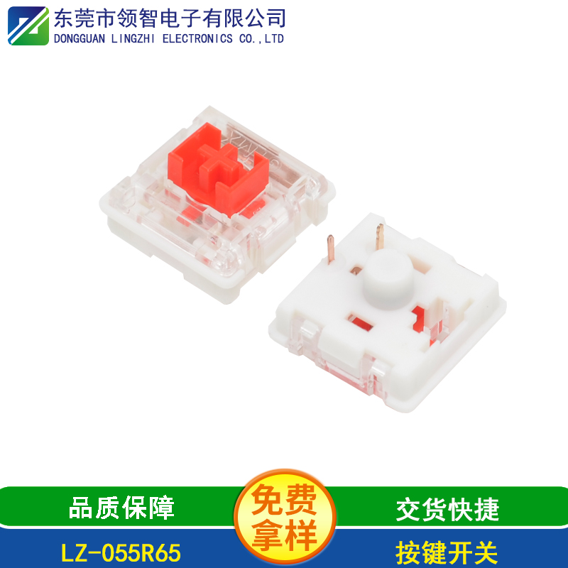 LZ-055R65