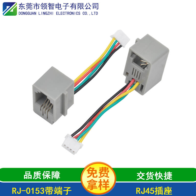 RJ-0153带端子