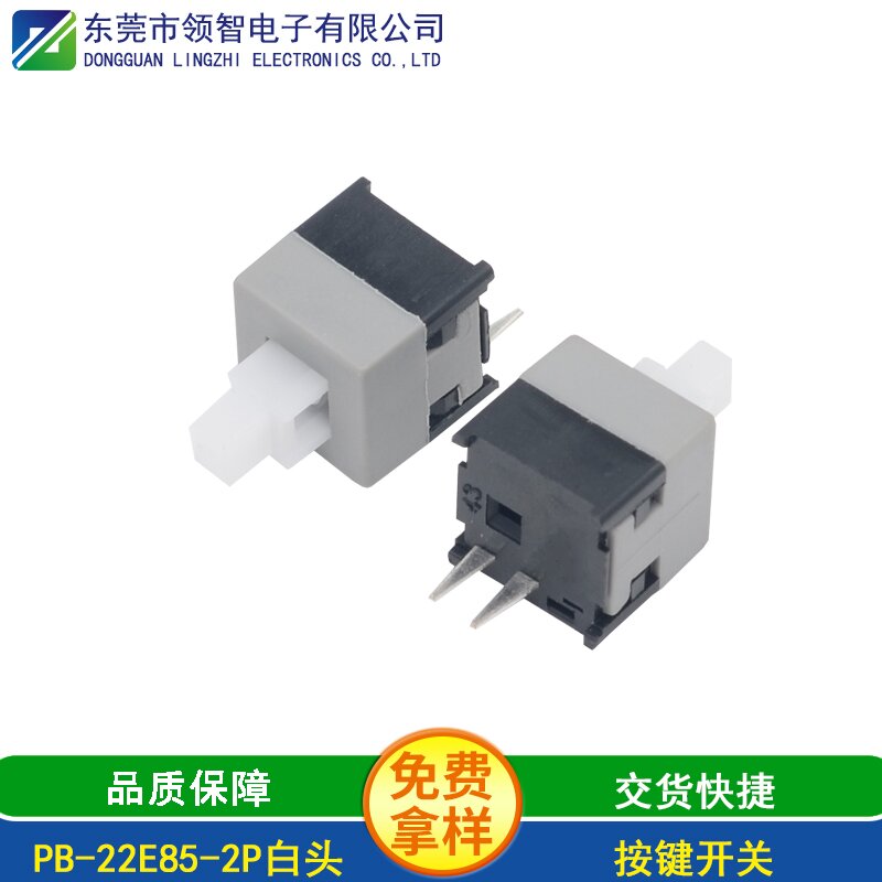 PB-22E85-2P白头