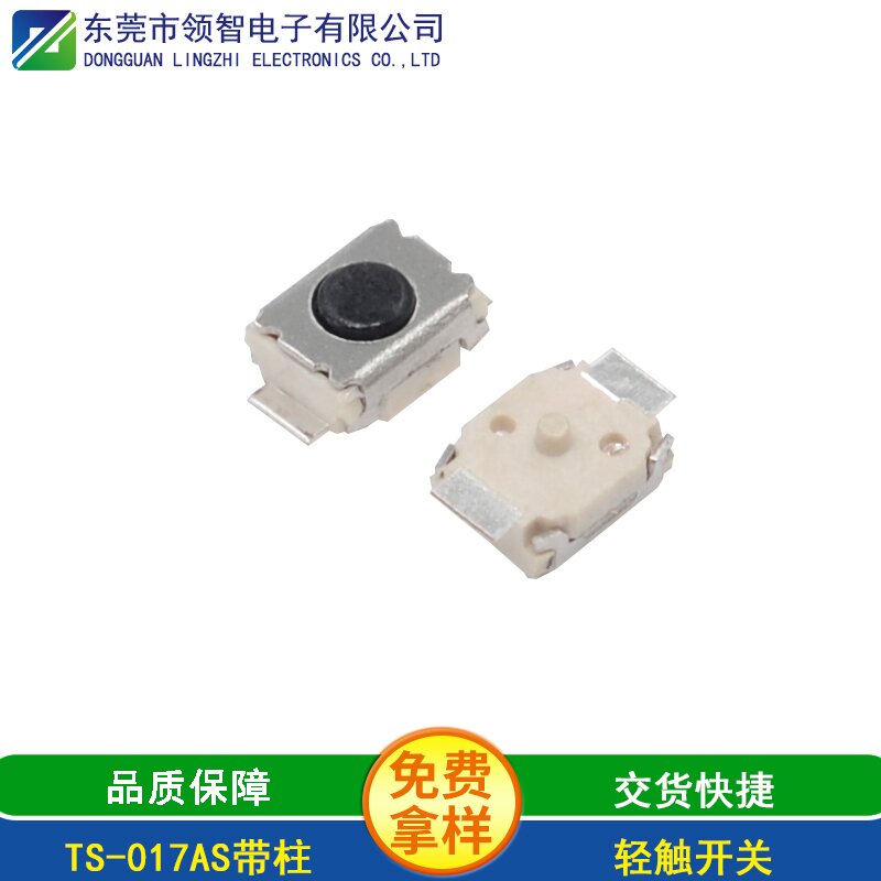 TS-017AS带柱