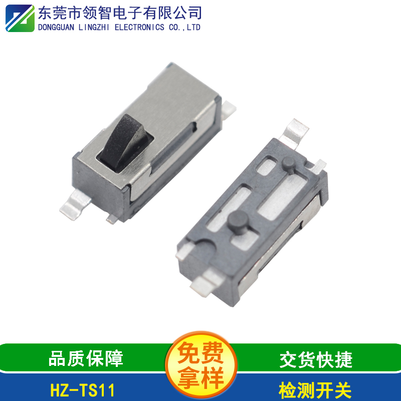 HZ-TS11