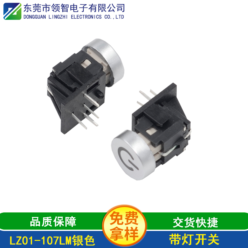 LZ01-107LM银色