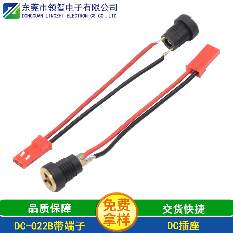 DC-022B带端子