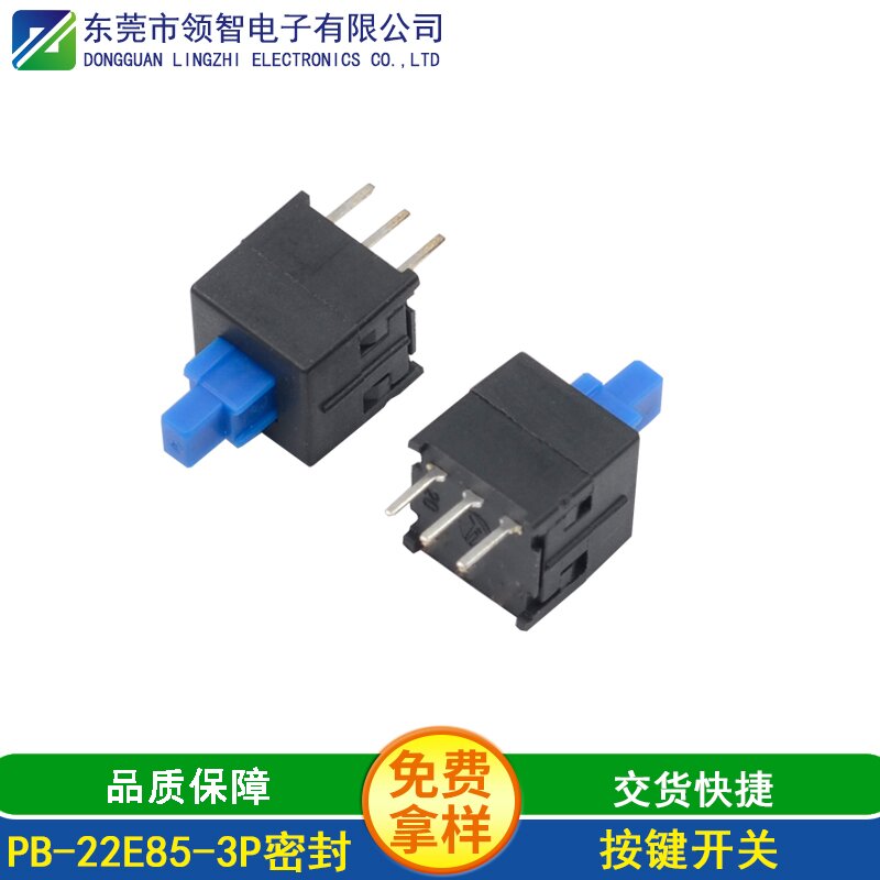 PB-22E85-3P密封